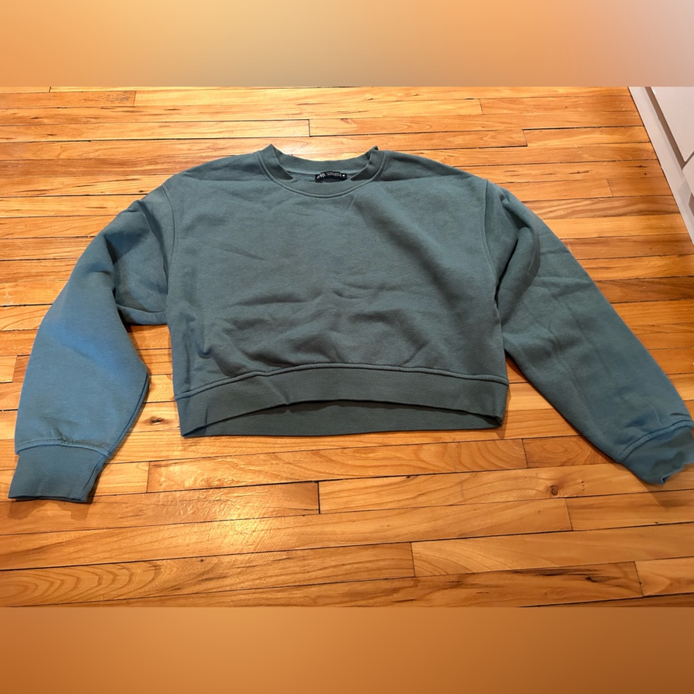 Zara Cropped Crewneck Sweatshirt - M
